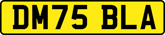 DM75BLA