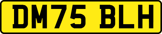 DM75BLH