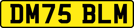 DM75BLM