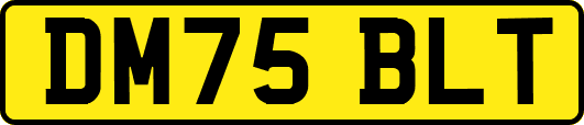 DM75BLT