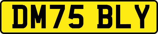 DM75BLY