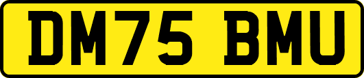 DM75BMU