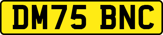 DM75BNC