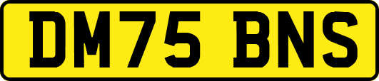 DM75BNS