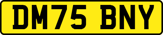 DM75BNY