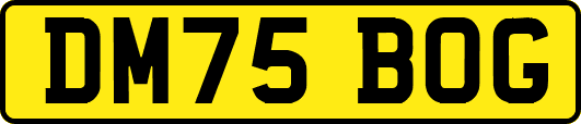 DM75BOG