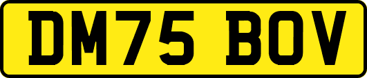 DM75BOV