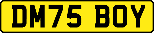DM75BOY