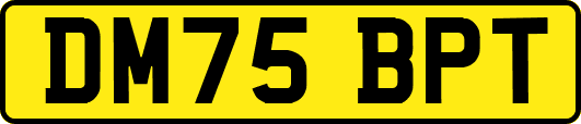 DM75BPT
