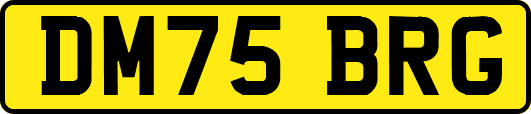 DM75BRG