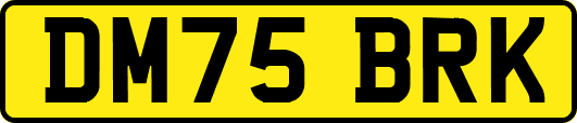 DM75BRK