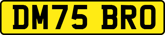 DM75BRO