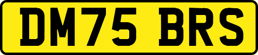 DM75BRS