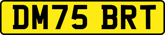 DM75BRT