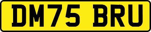 DM75BRU