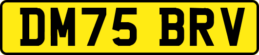 DM75BRV