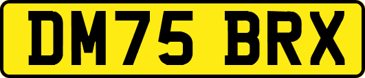 DM75BRX