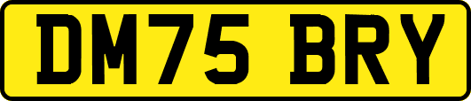 DM75BRY