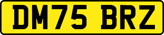 DM75BRZ