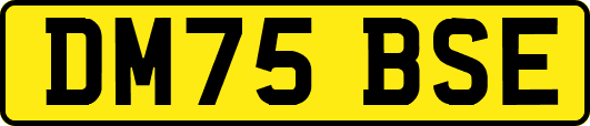 DM75BSE