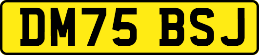 DM75BSJ