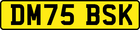 DM75BSK