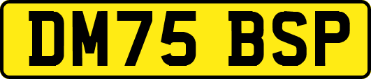DM75BSP
