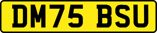 DM75BSU