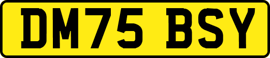 DM75BSY
