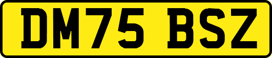 DM75BSZ