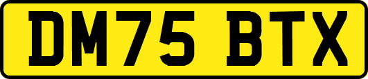 DM75BTX