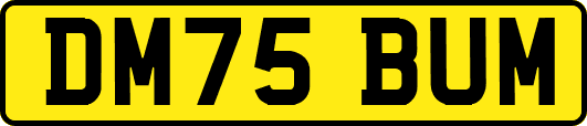 DM75BUM