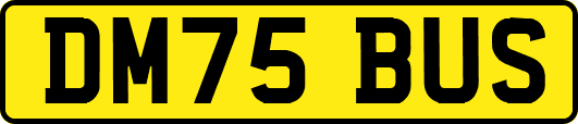 DM75BUS