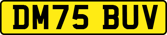 DM75BUV