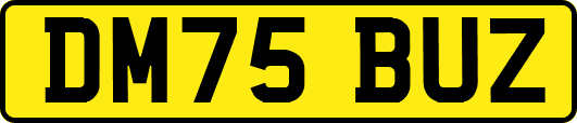 DM75BUZ