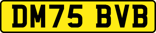DM75BVB