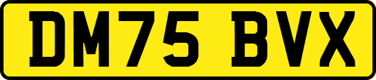 DM75BVX