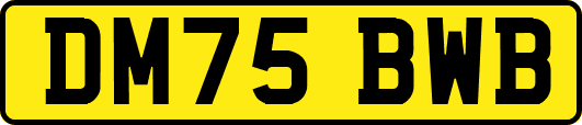 DM75BWB