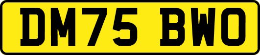 DM75BWO