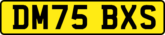 DM75BXS