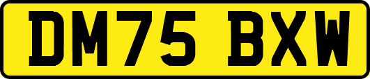 DM75BXW