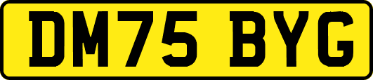 DM75BYG