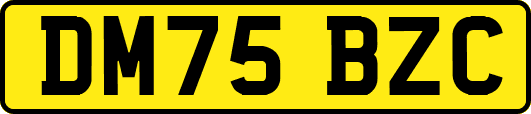 DM75BZC