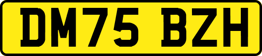 DM75BZH