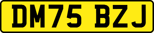 DM75BZJ