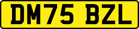 DM75BZL