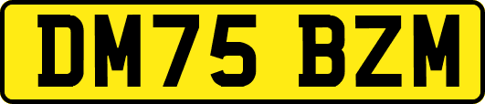DM75BZM