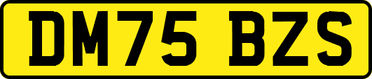 DM75BZS