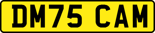 DM75CAM