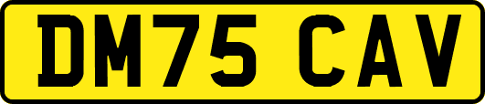 DM75CAV